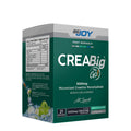 Bigjoy Creabig Go! 21 Servis